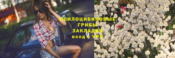 соль ск Белокуриха